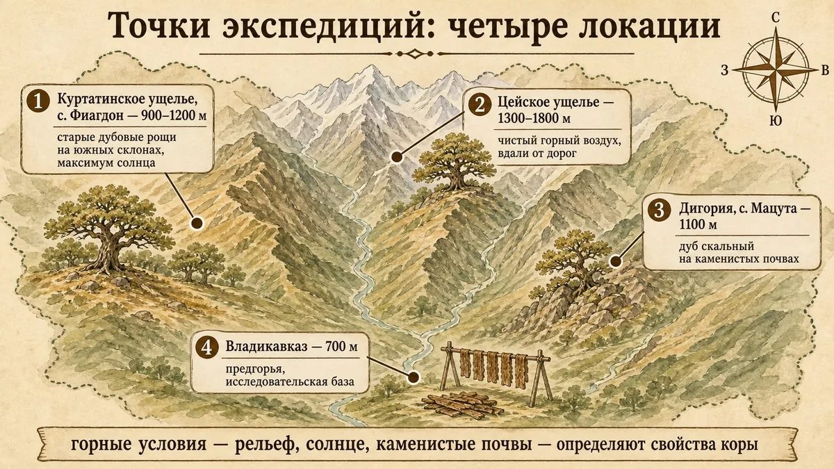 Схематическая карта горных ущелий Северной Осетии с четырьмя точками экспедиций и высотами: Фиагдон 900–1200 метров, Цейское 1300–1800 метров, Мацута 1100 метров, Владикавказ 700 метров