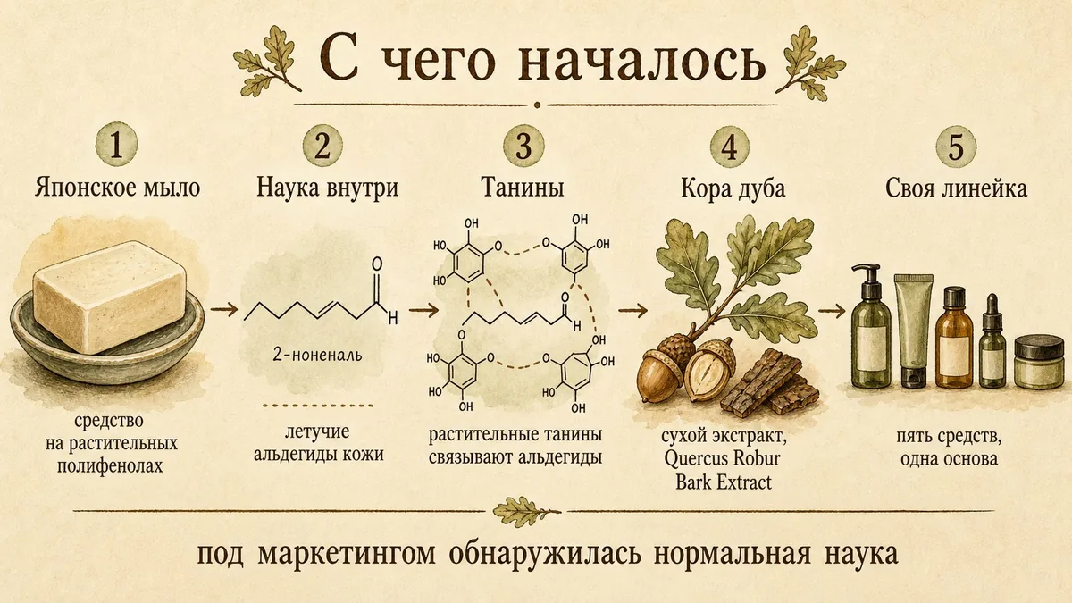 Цепочка из пяти шагов: брусок мыла на растительных полифенолах, молекула 2-ноненаля, танины связывают её, ветка дуба с жёлудем и корой, пять средств на одной основе