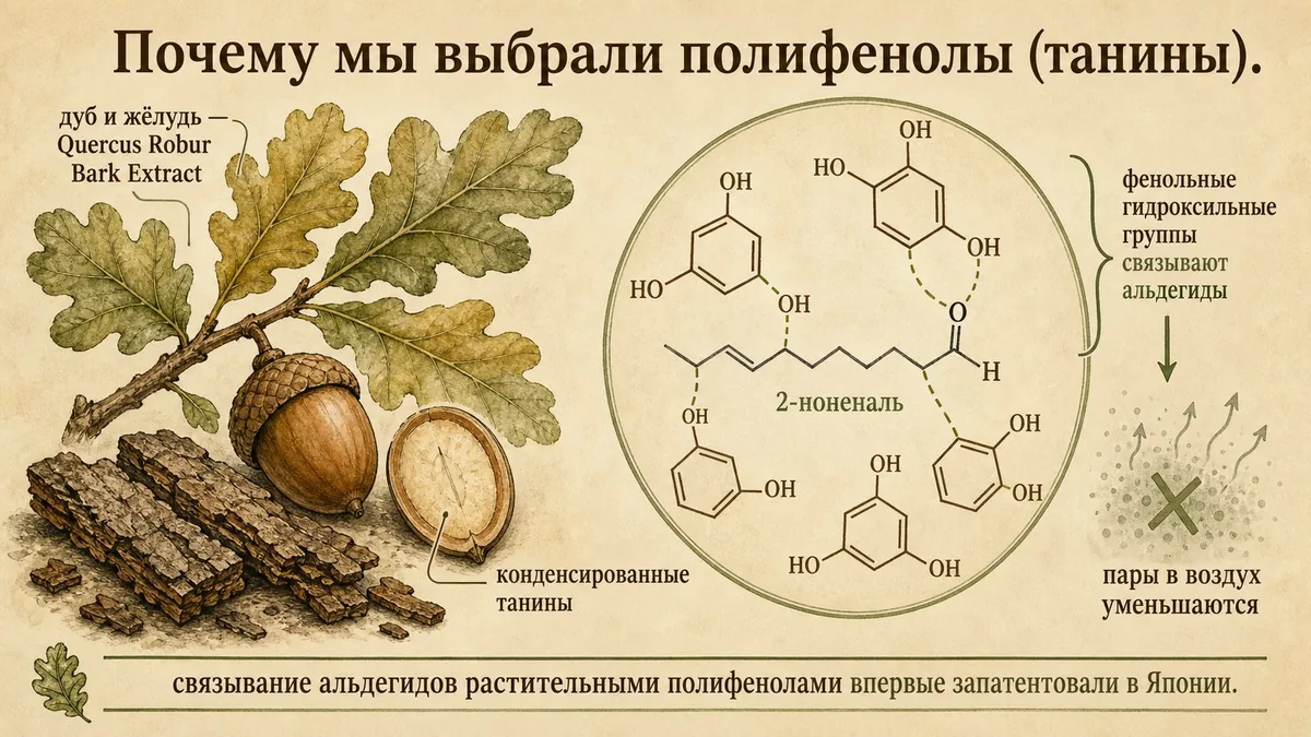 Дубовая ветвь с листьями и разрезанным жёлудем с танинным ядром, куски дубовой коры, и молекулы полифенолов, удерживающие молекулу 2-ноненаля